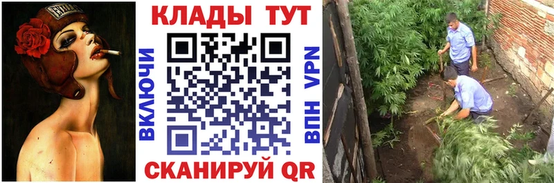 Купить Конаково Псилоцибиновые грибы  ГАШ  Конопля  COCAIN 