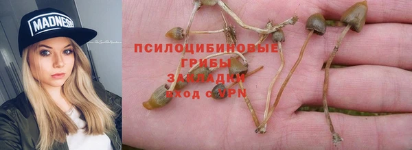 скорость Алзамай